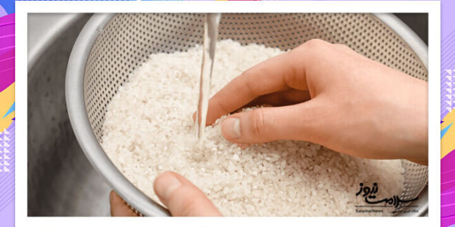 برنامه‌ریزی برای کاهش مصرف برنج / ماکارونی جایگزین برنج می‌شود؟