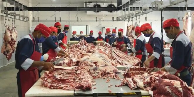 حرف‌های مهم مقام وزارت جهاد درباره بازار گوشت / سه هفته گوشت نخرید