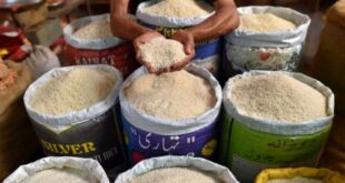 قیمت عجیب برنج پاکستانی/ جدول نرخ‌ها را ببینید