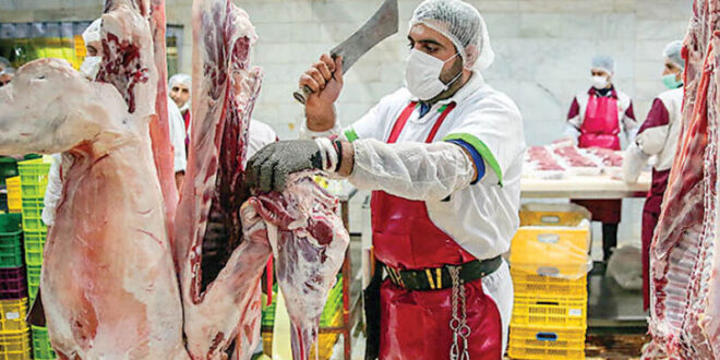 قیمت گوشت‌های تنظیم بازاری اعلام شد/ اطلاعیه مهم وزارت جهادکشاورزی درباره قیمت گوشت
