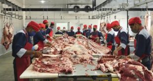 علت به هم ریختگی بازار گوشت قرمز چیست؟ / قیمت گوشت قرمز چند؟