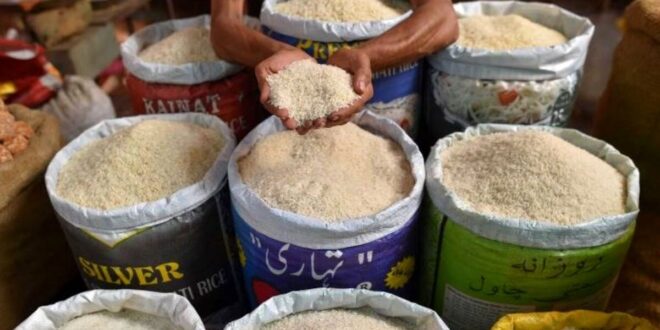 قیمت برنج مازندران کیلویی چند؟/ جزییات قیمتی