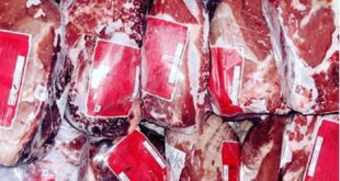 کاهش قیمت گوشت قرمز با واردات / آیا تولید پایدار محقق می‌شود؟