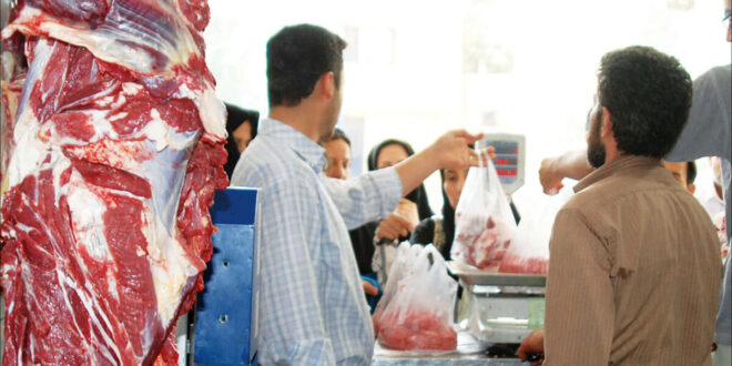 گوشت قرمز ارزان شد ؛ از این مغازه ها خرید کنید | جدیدترین قیمت گوشت گوسفندی و گوساله