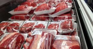 وعده عجیب و دوباره وزارت جهاد درباره قیمت گوشت/ پیمان‌پاک: از آخر امسال منتطر کاهش قیمت گوشت باشید
