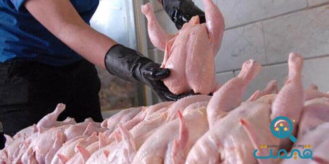 ثبات در بازار گوشت مرغ/ هر کیلو مرغ چند؟
