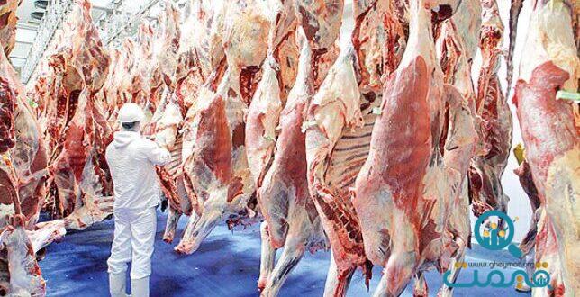وضعیت عجیب در بازار گوشت/ فروش گوسفند با کارت ملی سوژه شد!