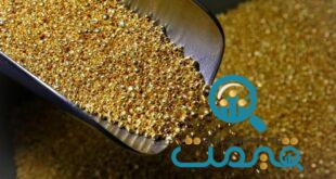 طلا دوباره ترمز برید/ قیمت جدید طلا ۷ خرداد ۱۴۰۳