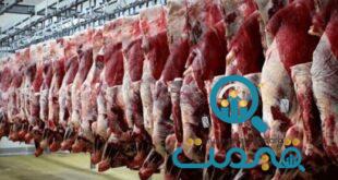 قیمت گوشت مرغ، گوشت قرمز و دام زنده امروز چهارشنبه ۲۳آبان ۱۴۰۳/ گوساله و بوقلمون ارزان شد؛ مرغ زنده گران